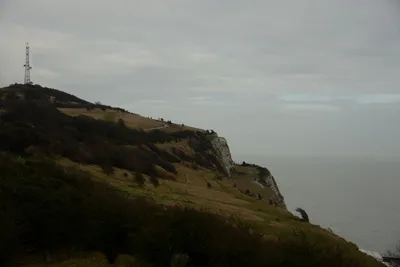 DSC_1315 (Large).JPG